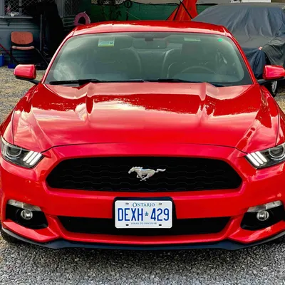 Ford Mustang 2015 në shitje