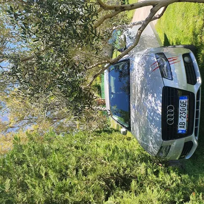 Audi A4 2009 në shitje