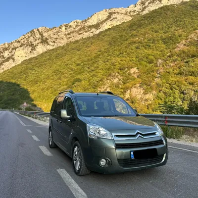Citroen Berlingo 2009