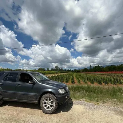 Mercedes-Benz M-class 2000 në shitje