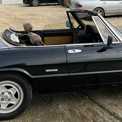 Alfa Romeo Spider