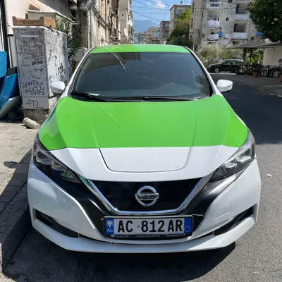 Nissan Leaf 2019