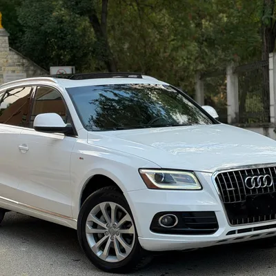 Audi Q5 2014