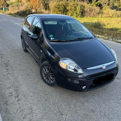 Fiat Punto 2010 në shitje