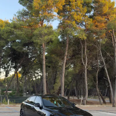 Jaguar XF 2012