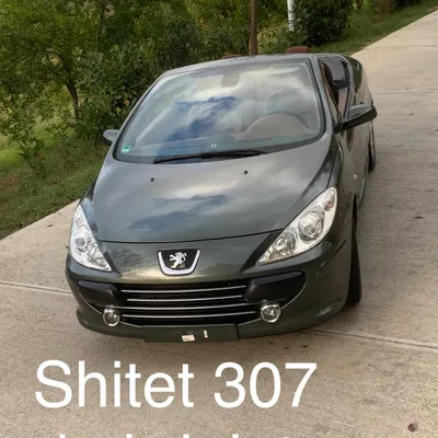 Peugeot 307 2007