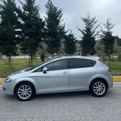 Seat Leon 2010 në shitje