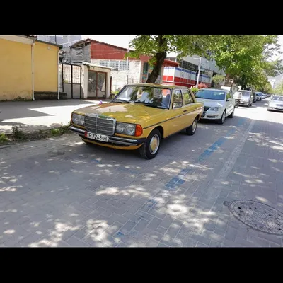 Mercedes-Benz W123 1981 në shitje