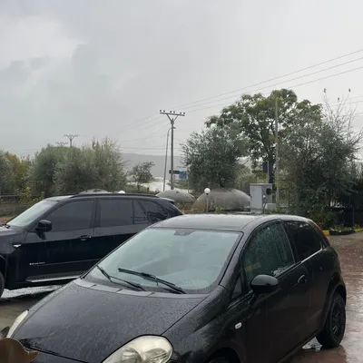 Fiat Punto 2006 në shitje