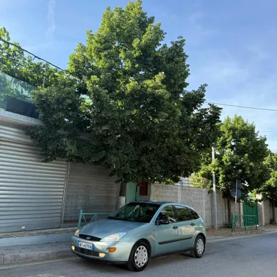 Ford Focus 2000 në shitje