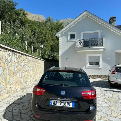 Seat Ibiza 2010