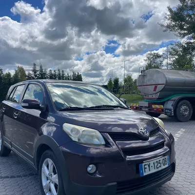 Toyota Urban Cruiser 2009 në shitje