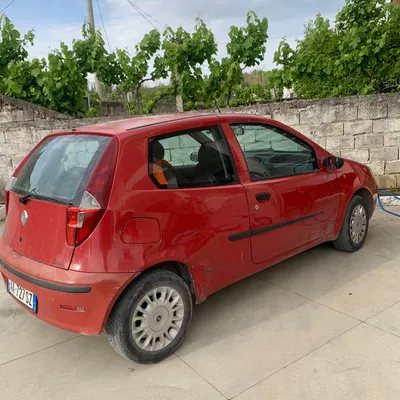 Fiat Punto