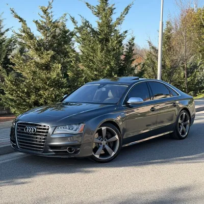 Audi S8