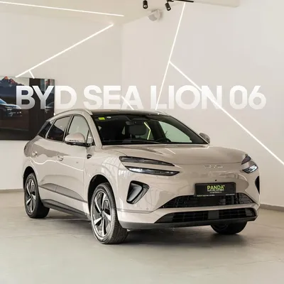 BYD Sea Lion 06
