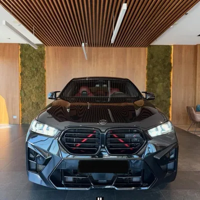BMW X6 M