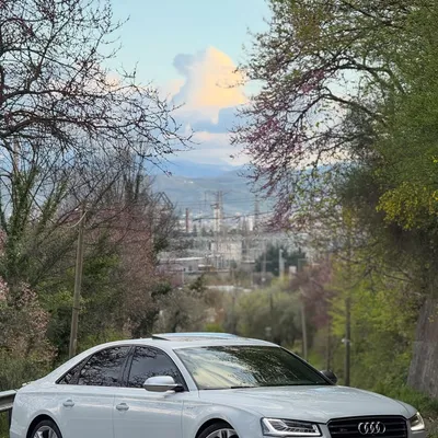 Audi S8