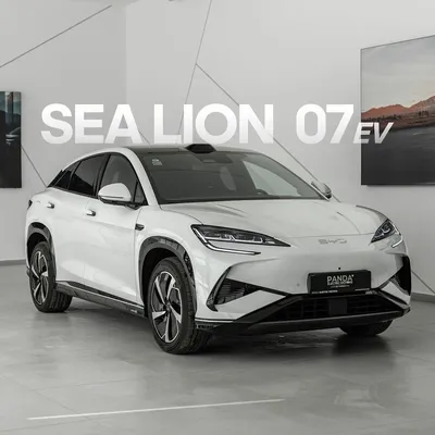 BYD Sea Lion 07