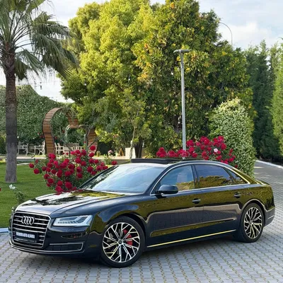Audi A8