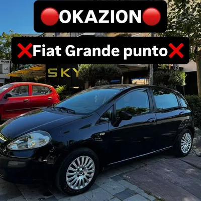 Fiat Punto 2010