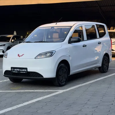 Mini Electric 2026