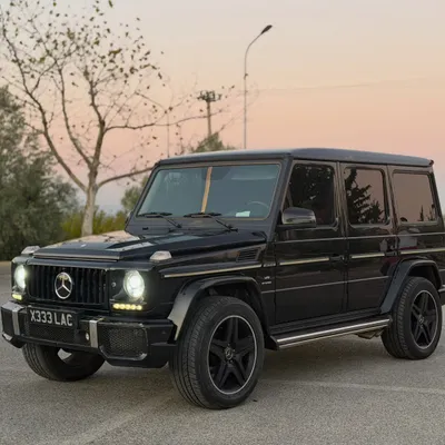Mercedes-Benz G-class 2006